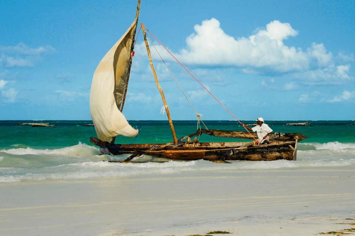 Visites gratuites à Kiwengwa, Tanzanie