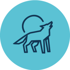 Wolf Tours Stockholm