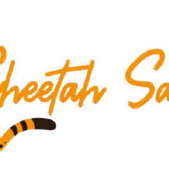 Cheetah Africa Safaris