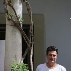 Bogdan