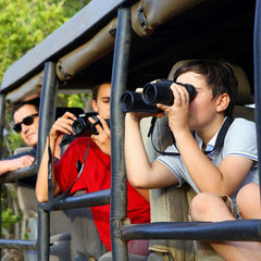 Budget Arugambay Tours