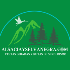 Alsacia y Selva Negra - Tours