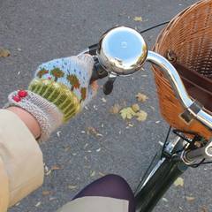 Velocipedi