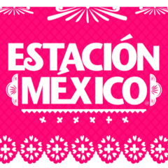 Estacion Mexico Free Tours