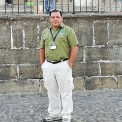 Nelson Armando Palomo Toledo