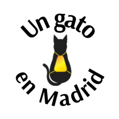 Un gato en Madrid