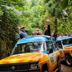 Green Devil Safari