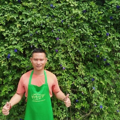 Xuan Hoa