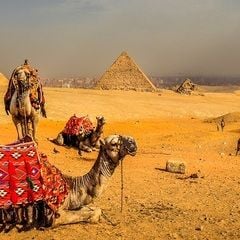 Go Tours Egypt