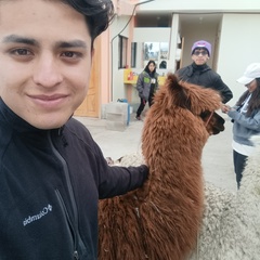Alexander Torres
