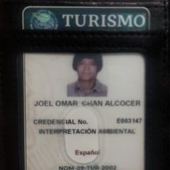 Joel Omar Chan Alcocer