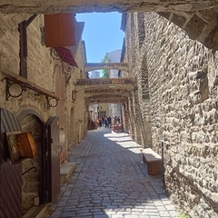 Amici optimi tours