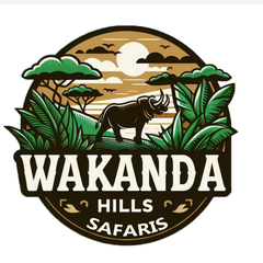Hills Wakanda
