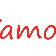 Vamos Free Tours