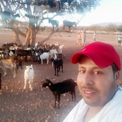 Mohamed amz