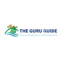 The Guru Guide