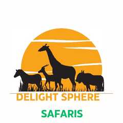 Delightsphere Safaris