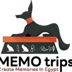 Memo Trips