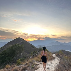 The Sunset 