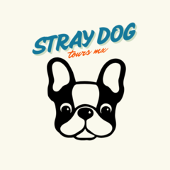 Stray Dog Tours Mx