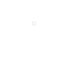 Alov Travel