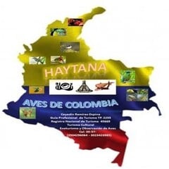 HAYTANA AVES DE COLOMBIA
