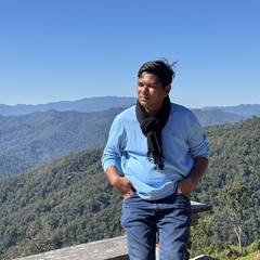 Guide woody