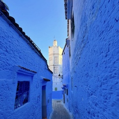 Discover Chefchaouen with us