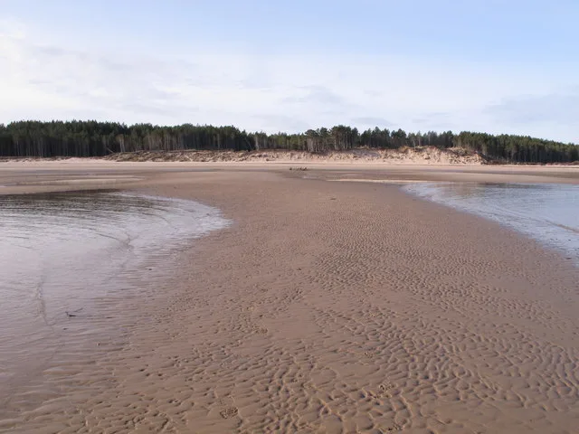 Culbin Beach and the edge of Culbin Forest in Moray, Scotland.