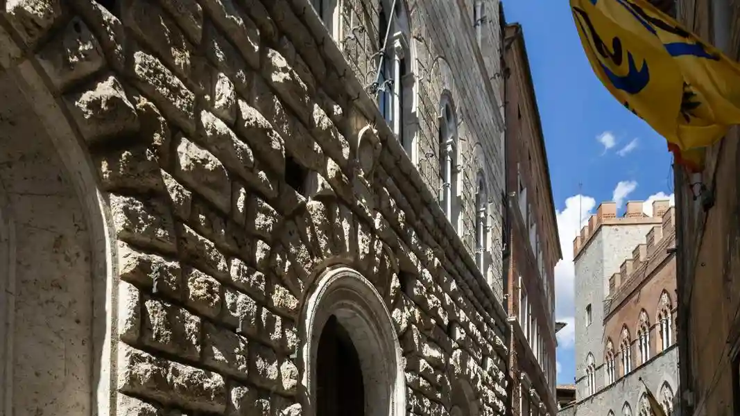 Palazzo delle Papesse (Palazzo Caterina Piccolomini): Biglietto d'ingresso