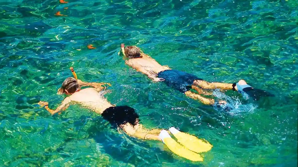Palma de Mallorca: cruzeiro de catamarã de 2 horas + natação e mergulho com snorkel