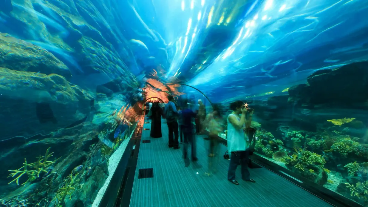 Dubai Aquarium & Underwater Zoo: Gold Pass