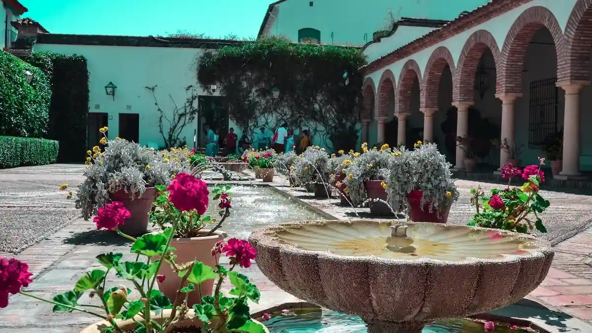 Palazzo di Viana e Cortili: Tour Guidato