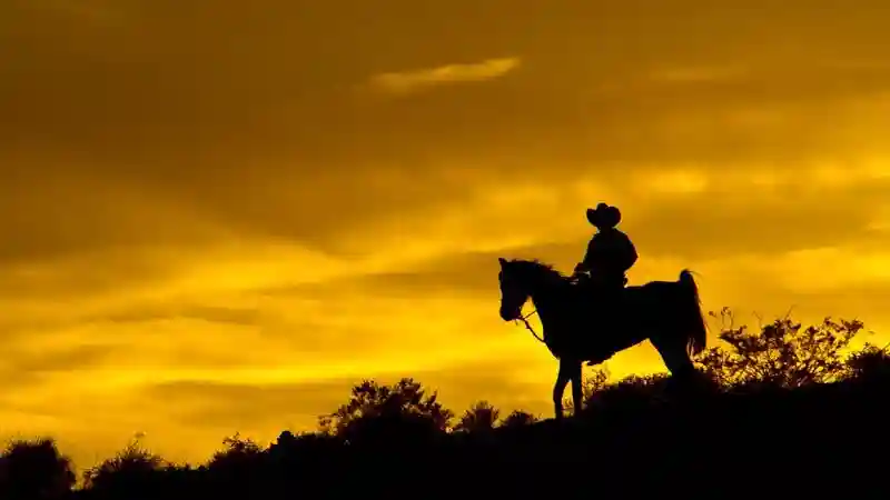 Wild Wild West Sunset Horseback Ride + Dinner