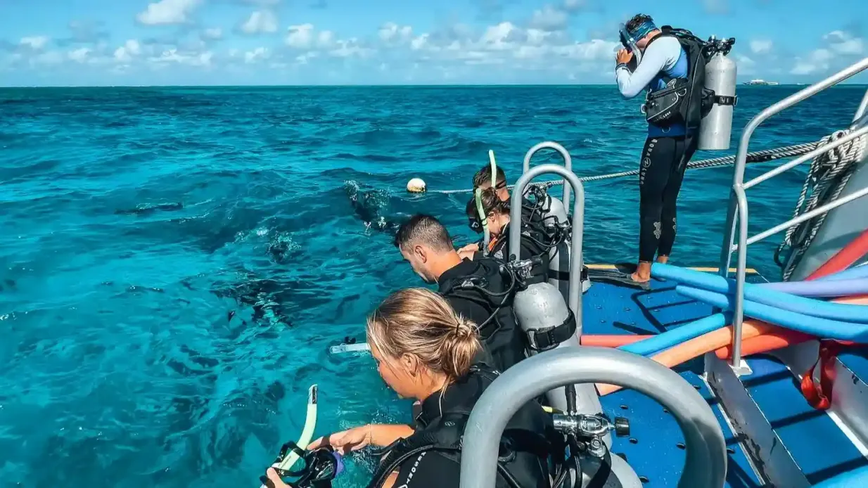 La Grande Barrière de Corail : Excursion guidée de plongée en apnée à partir de Port Douglas + Déjeuner Fournie par Calypso Reef Charters