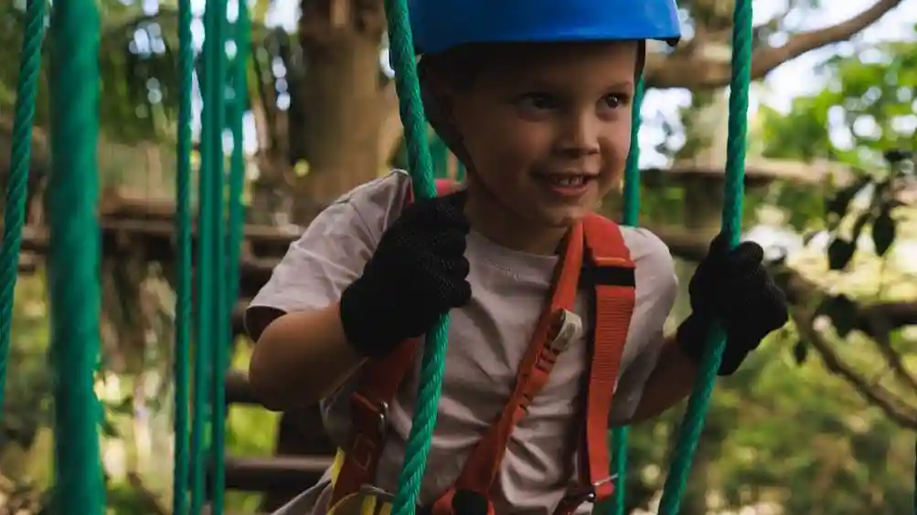 Treetops Adventure Central Coast : Parcours acrobatique junior Fournie par TREES ADVENTURE HOLDINGS PTYLTD