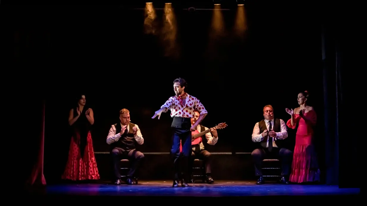 Teatro Flamenco Granada: Sensaciones Show