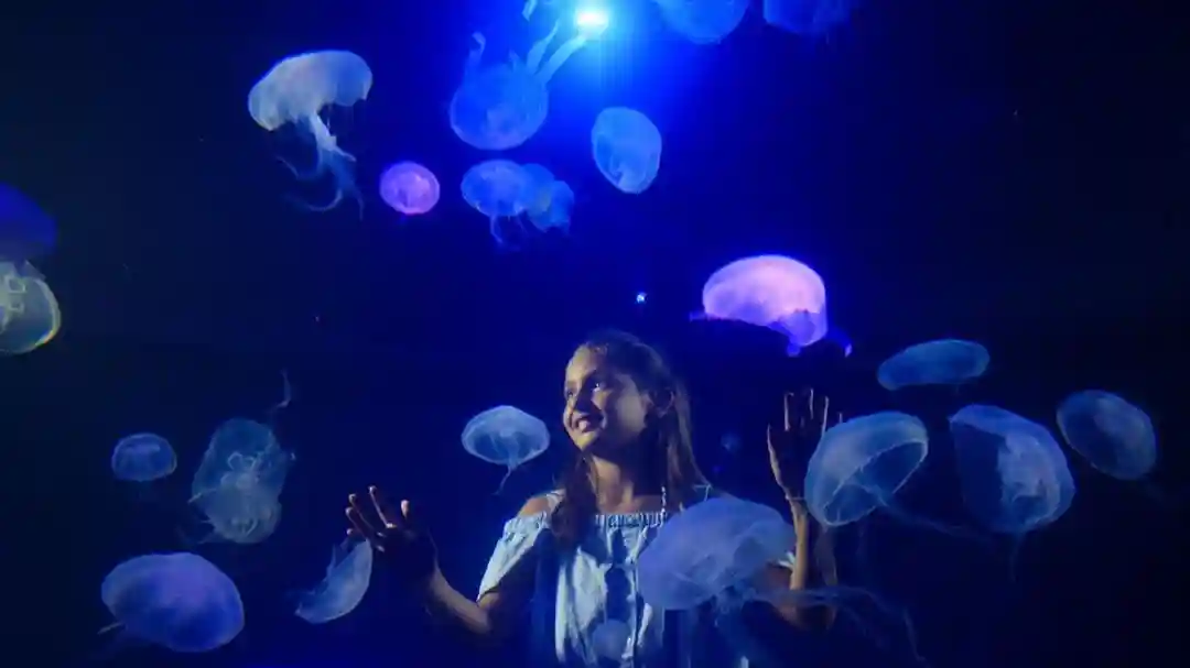 Palma Aquarium: Admission Ticket + Transfer from East Zone Provided by PALMA DE MALLORCA AQUARIUM S.A.