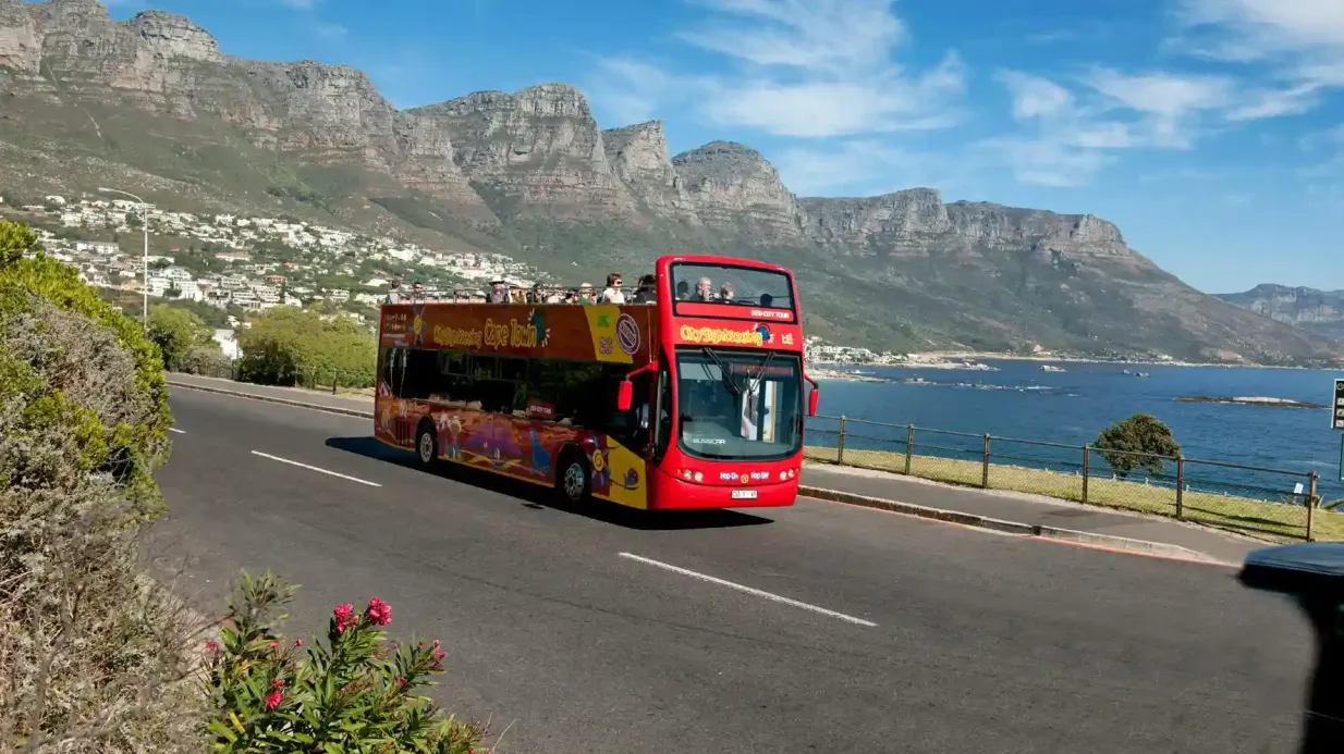 Ciudad del Cabo: Excursión en autobús turístico + Teleférico de ida y vuelta a la Montaña de la Mesa Operado por SA City Pass (Pty) Ltd