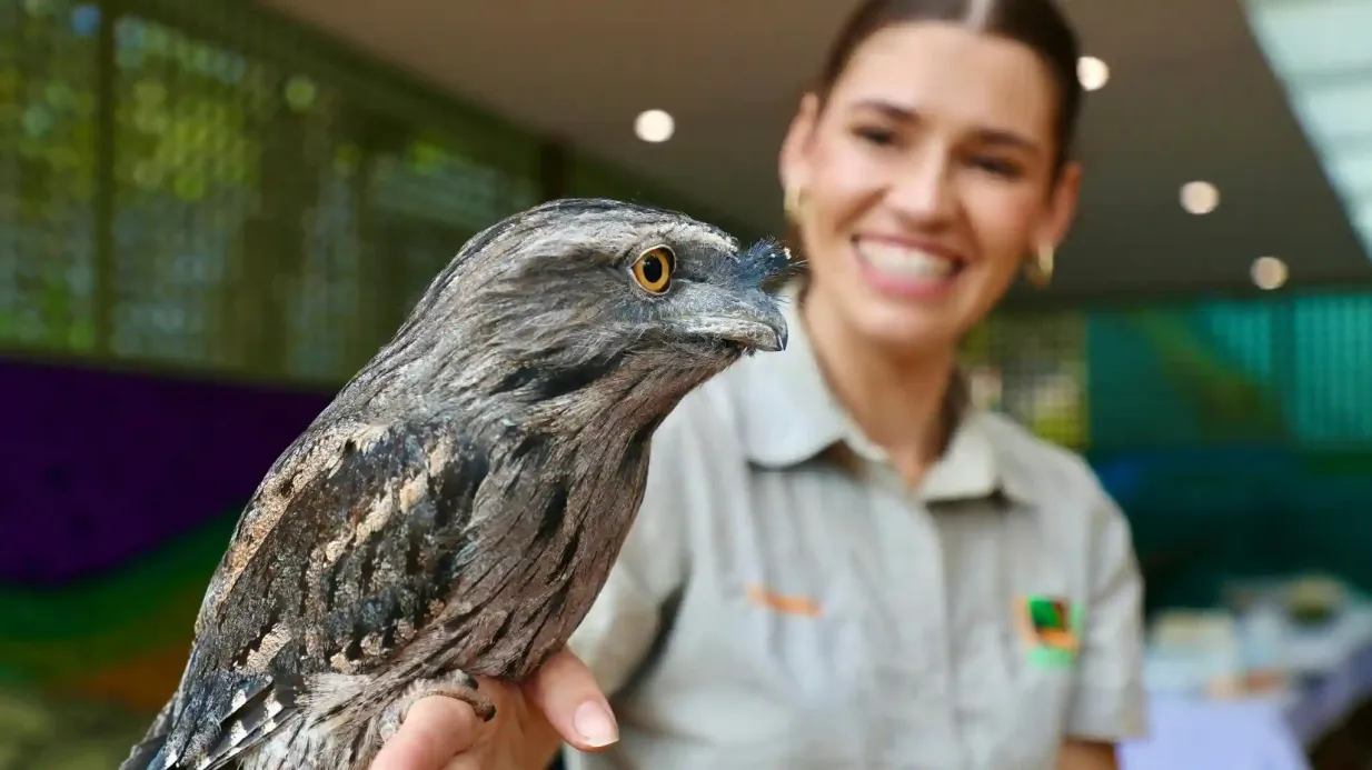 Australian Reptile Park : Billet d'entrée Fournie par Australian Reptile Park