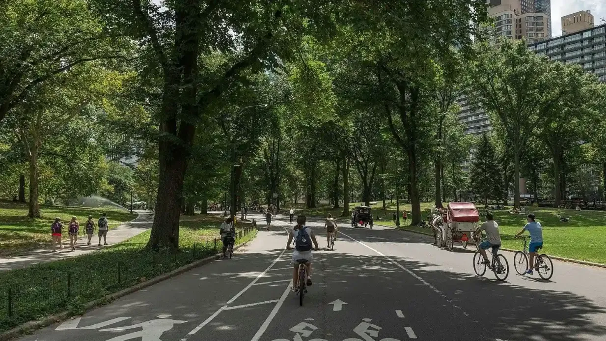 Central Park y NYC: Alquiler de bicicletas