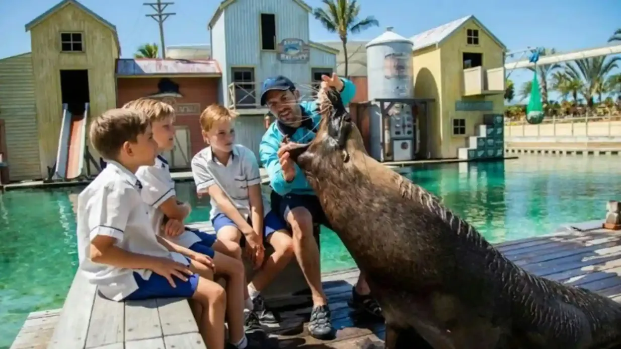 Sea World Gold Coast: Bilhete de entrada + ferry de ida e volta Organizado por HOPO Pty Ltd