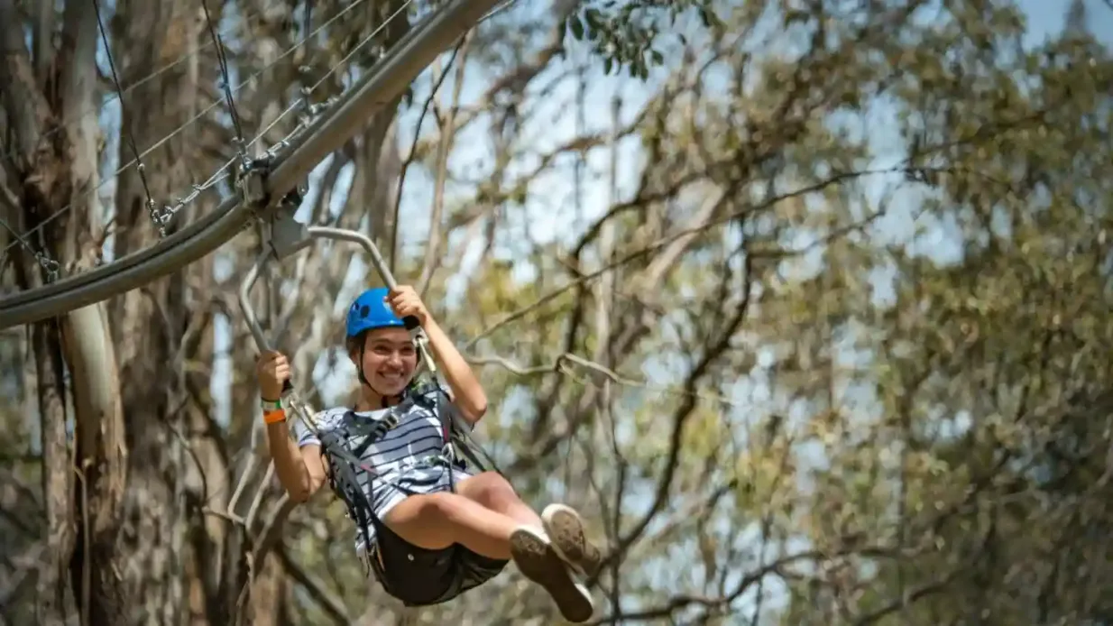 Treetops Adventure Central Coast : Parcours en tyrolienne Fournie par TREES ADVENTURE HOLDINGS PTYLTD