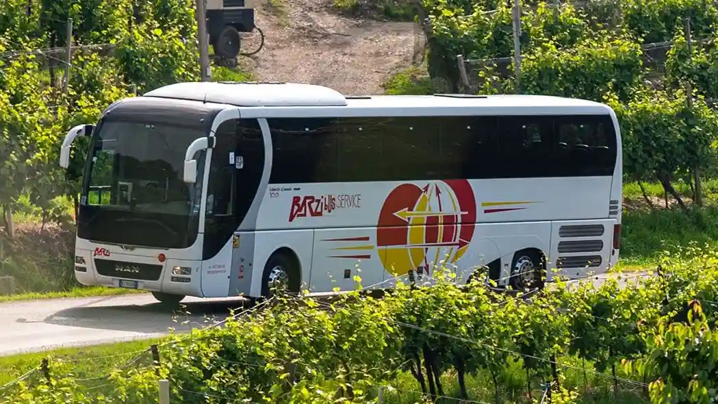 Veneza: Transporte de autocarro para o aeroporto de Treviso (TSF) por Barzi Service