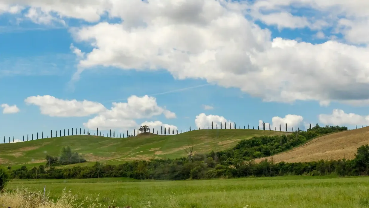 Pienza, Montalcino & Monteriggioni: Bus Transfer from Florence