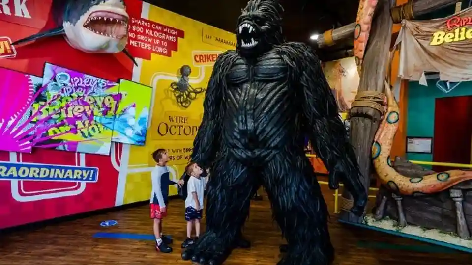 Ripley's Believe It or Not ! Surfers Paradise : Pass 3 attractions Fournie par Tiqets International B.V.