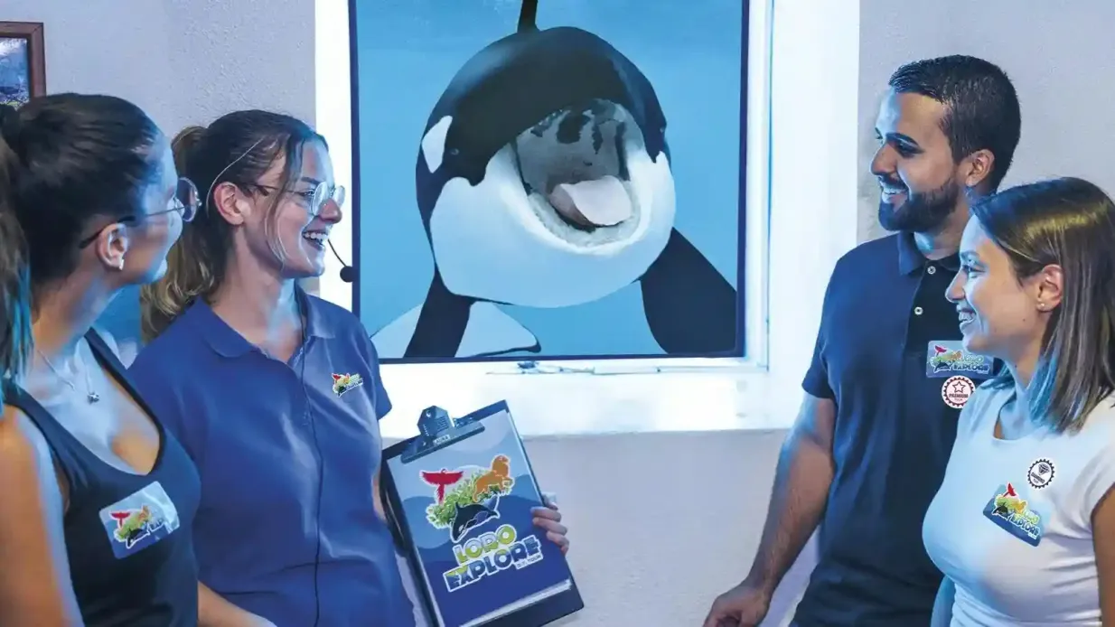 Loro Parque: Eintrittskarte + Diamond Pass Bereitgestellt von Tiqets International B.V.