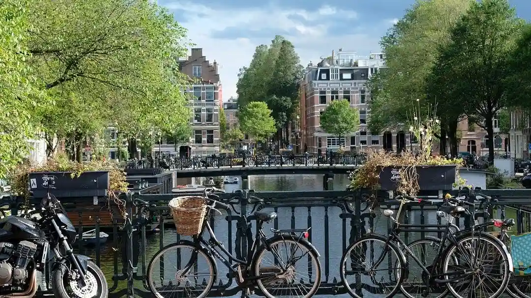 Amsterdam: Gita di un giorno da Bruxelles