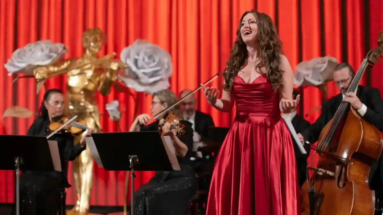 Viena: Concerto de Strauss + Entrada no Museu da Casa de Strauss