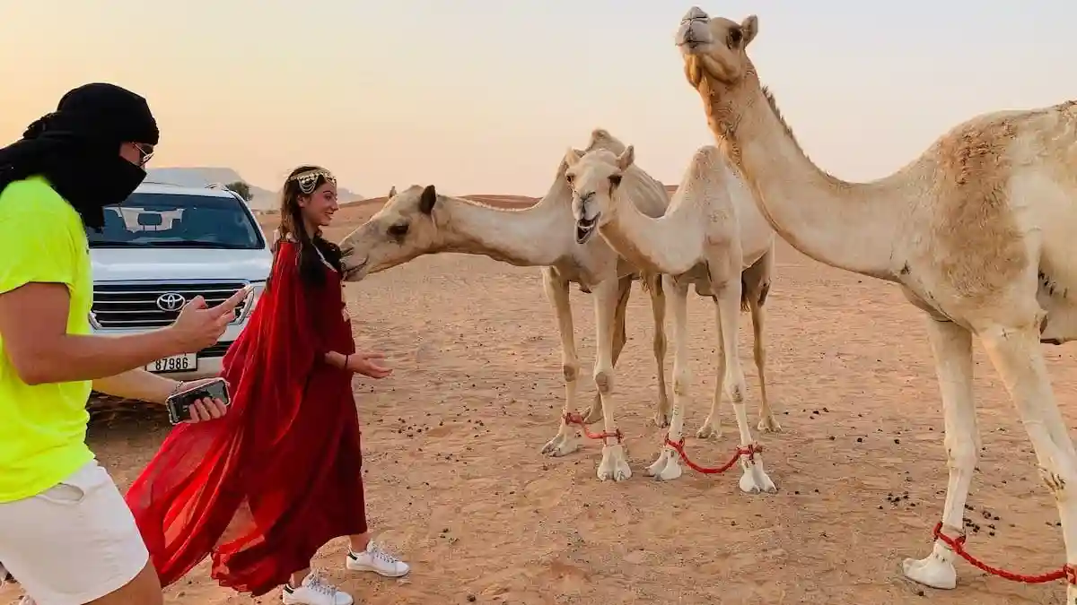 Dubai: Premium Sunset Safari, Quad Bike, Sandboard + BBQ Dinner